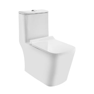 Jaquar Rimless Single Piece WC in White finish - CNS-WHT-855S300SPPSM - Buy Online