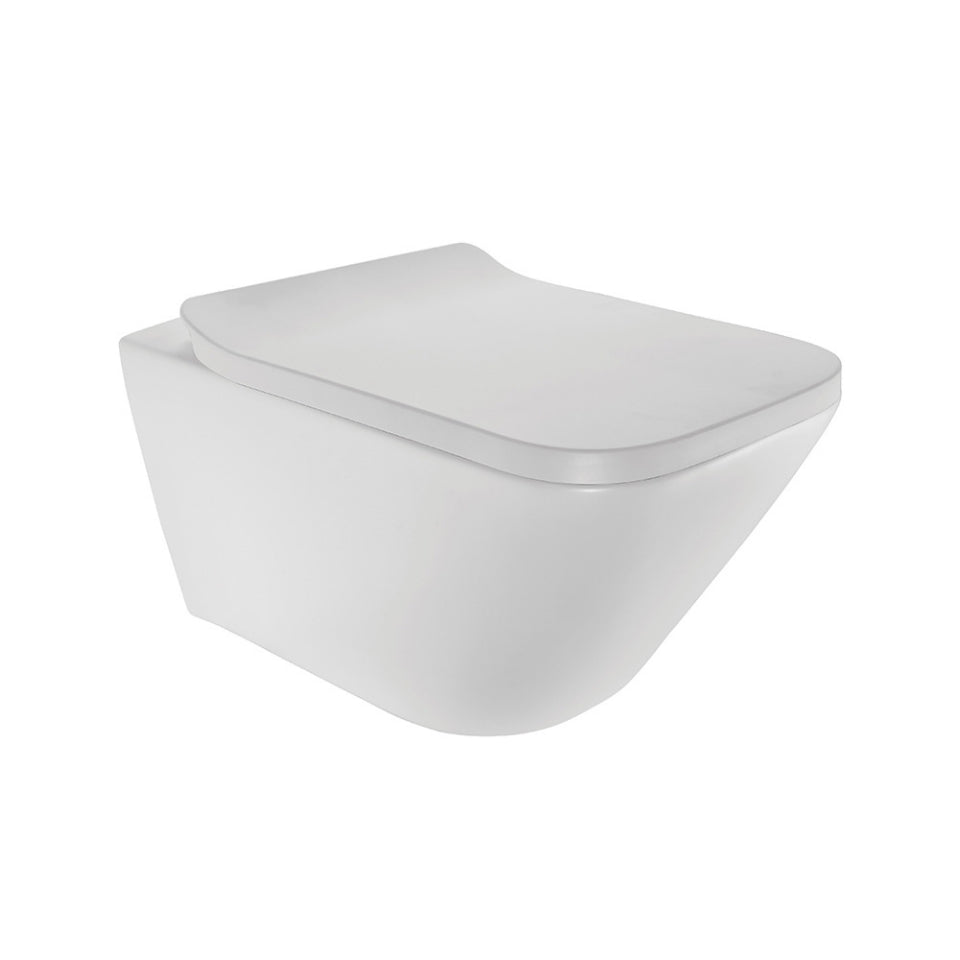Jaquar Laguna Sanitaryware Rimless Blind Installation Wall Hung WC