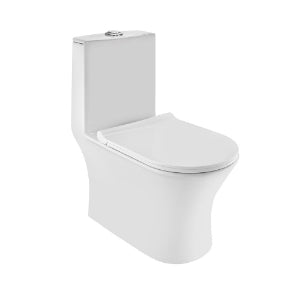 Jaquar Rimless Single Piece WC in White finish - CNS-WHT-853S300SPPSM - Buy Online